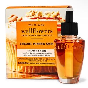 ✨Caramel Pumpkin Swirl Fragrance 2 pack Refill